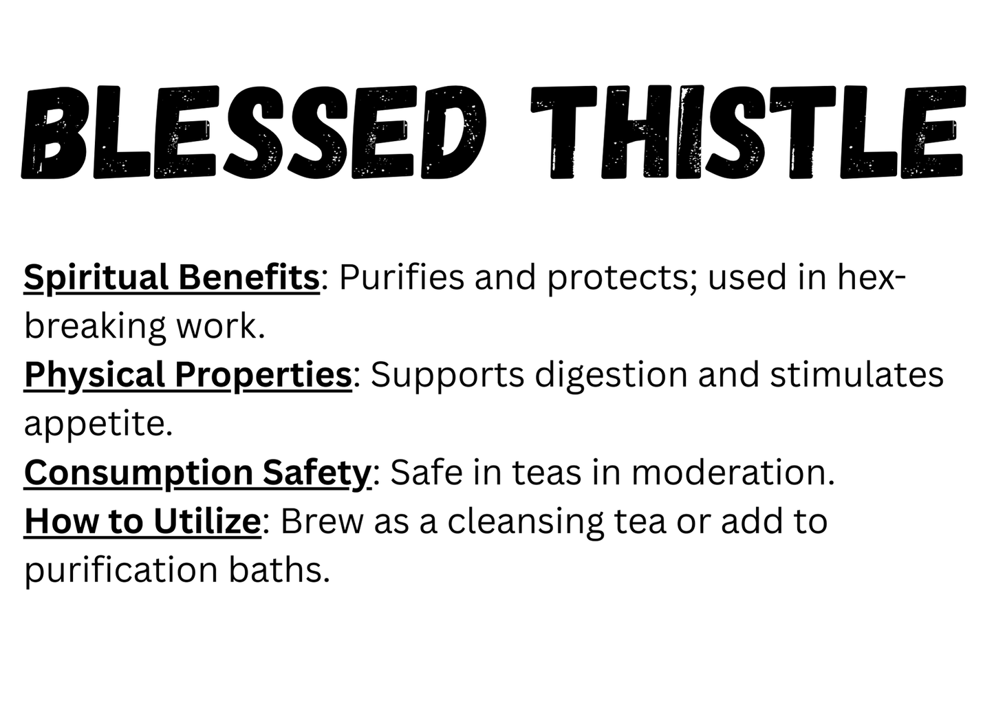 Blessed Thistle
