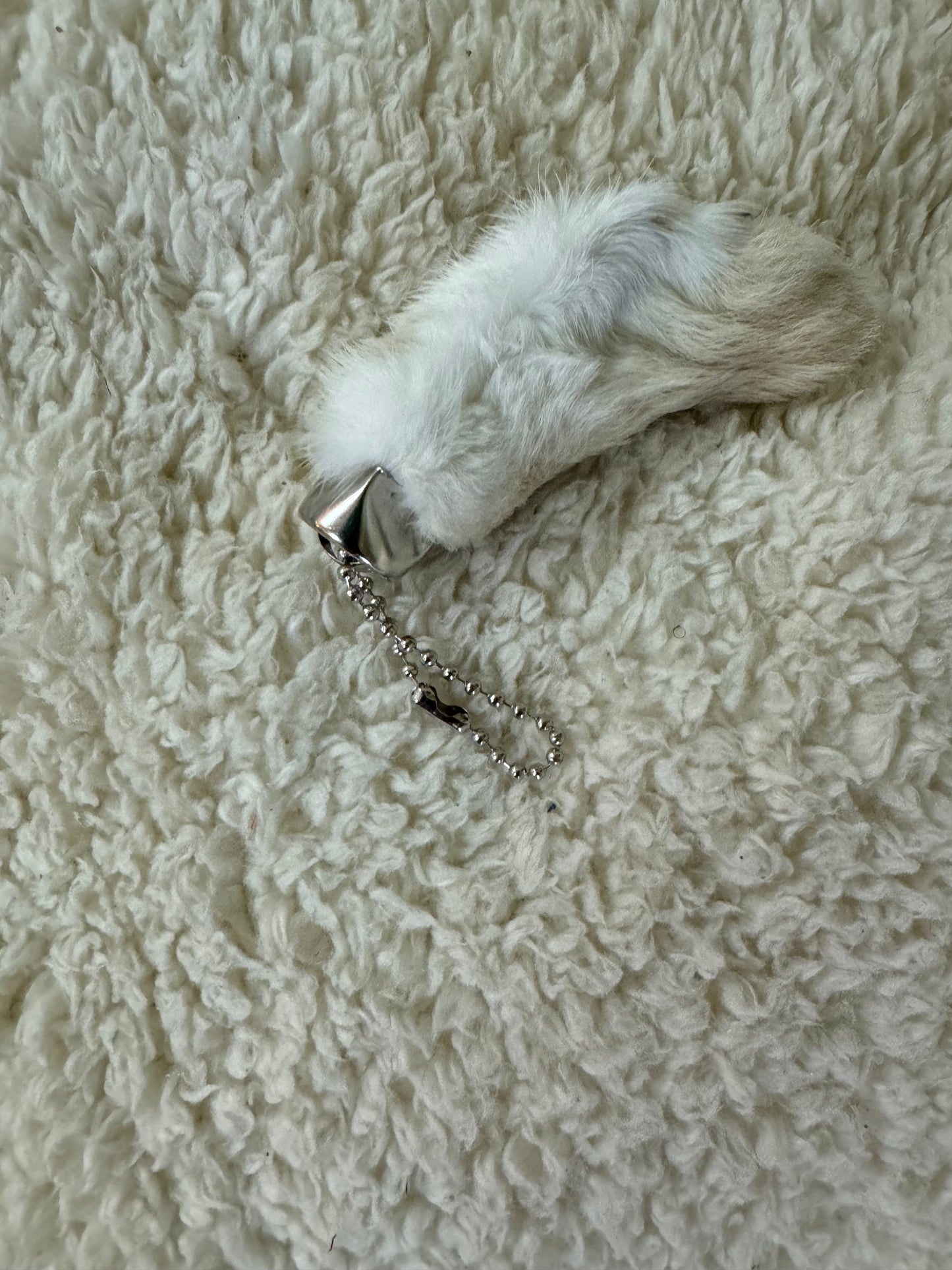 Rabbits Foot