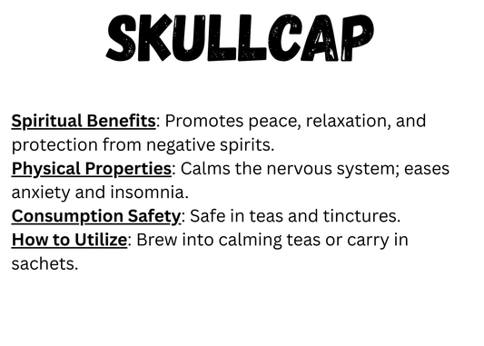 Skullcap