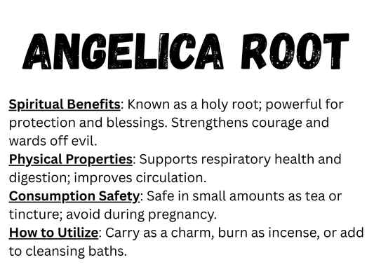 Angelica Root