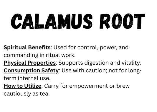 Calamus Root