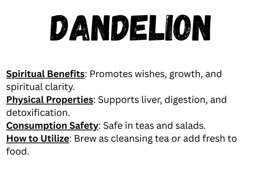 Dandelion