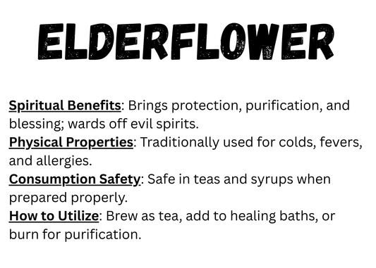 Elderflower