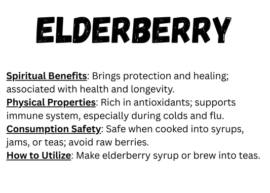Elderberry