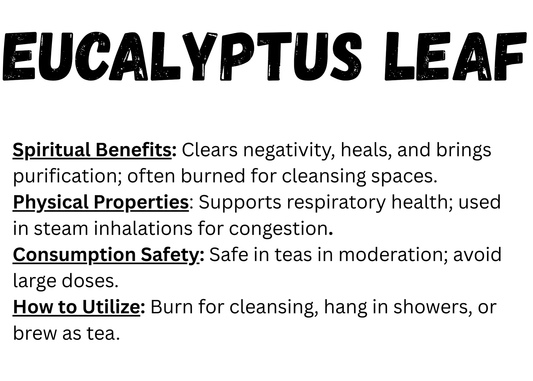 Eucalyptus Leaf