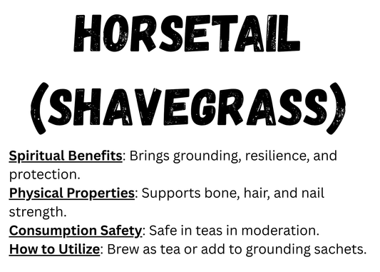 Horsetail (Shavegrass)
