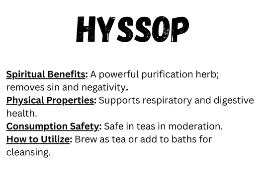 Hyssop