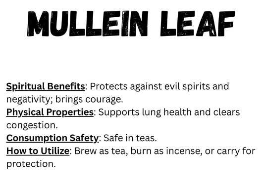 Mullein