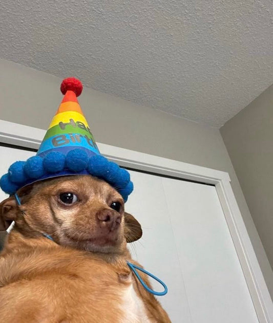 You The Birthday